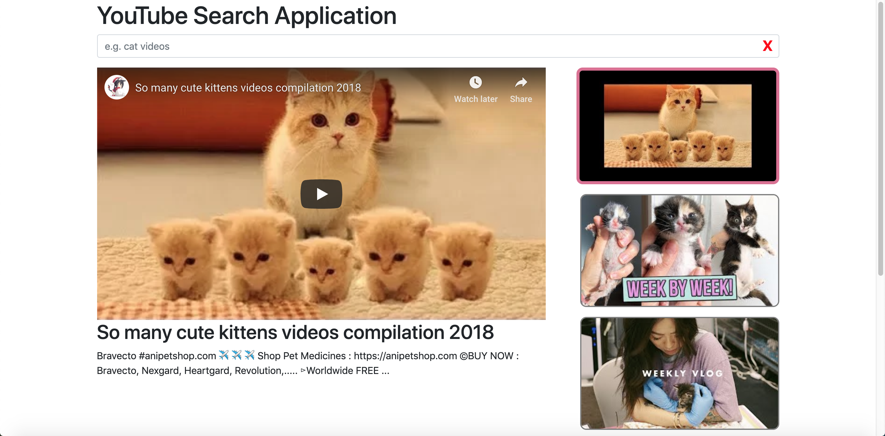 Image of YouTube Search Application